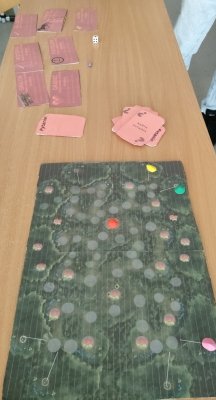 IMG20240226121615~2_copy_1067x1971